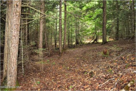 3-4 Adirondack Heights Road Chestertown NY 12817