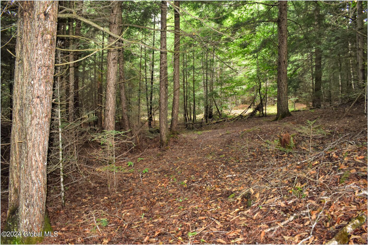 3-4 Adirondack Heights Road Chestertown NY 12817