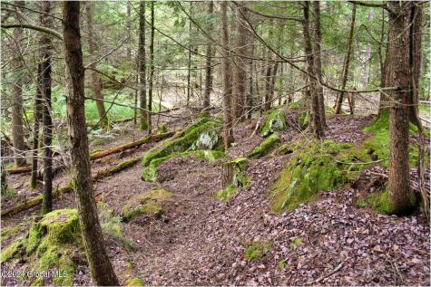 3-4 Adirondack Heights Road Chestertown NY 12817