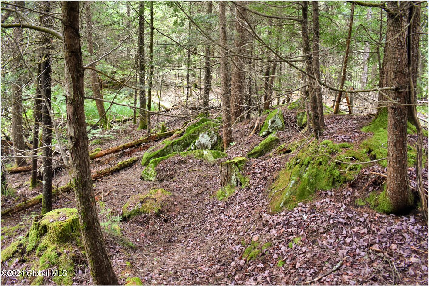 3-4 Adirondack Heights Road Chestertown NY 12817