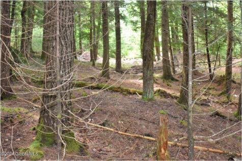 3-4 Adirondack Heights Road Chestertown NY 12817