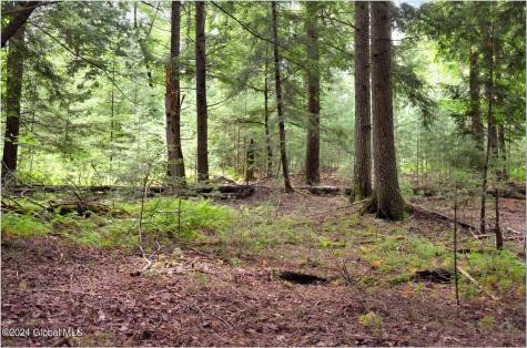 3-4 Adirondack Heights Road Chestertown NY 12817