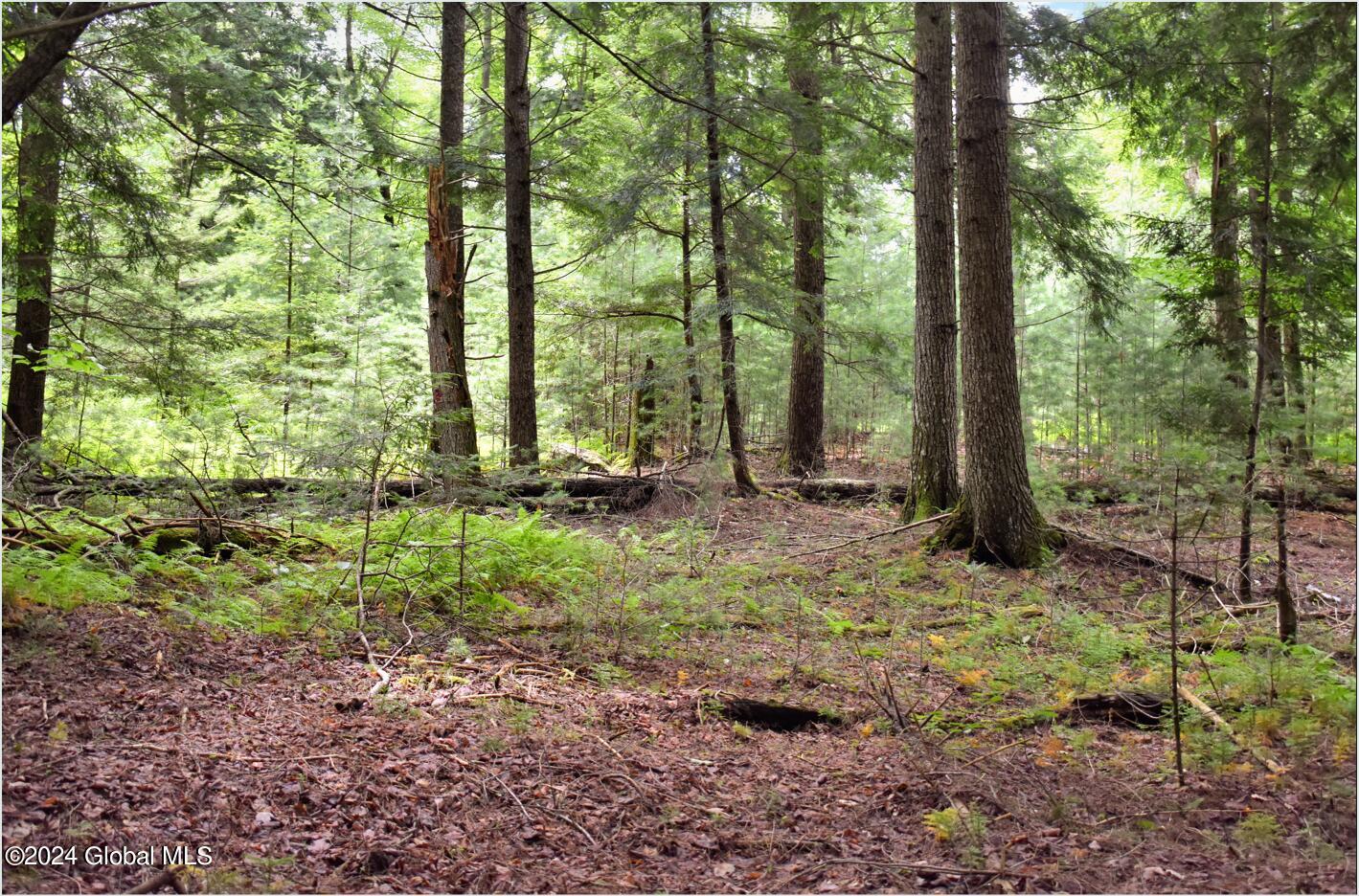 3-4 Adirondack Heights Road Chestertown NY 12817