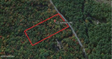 L122 Johnson Road Adirondack NY 12808