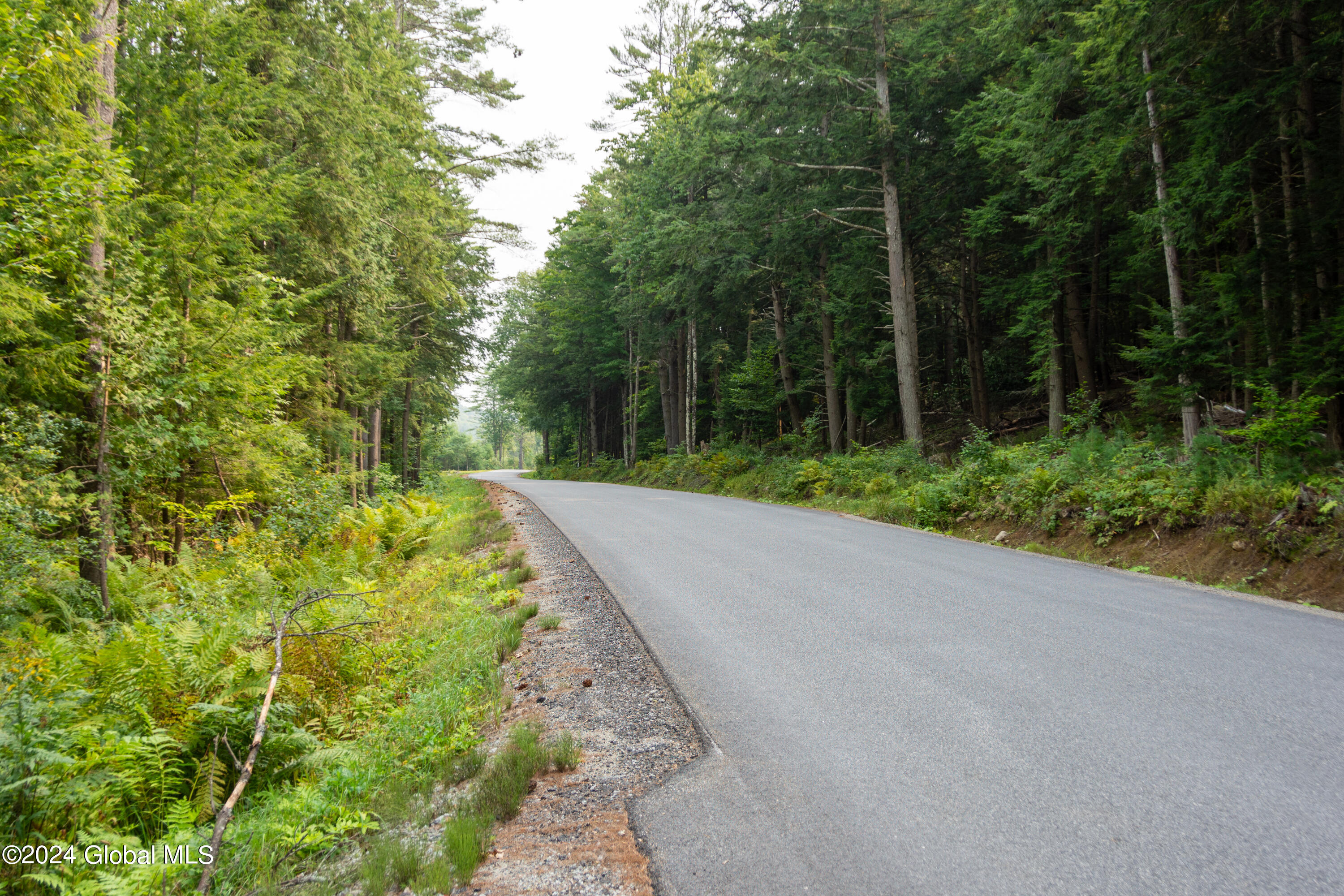 L122 Johnson Road Adirondack NY 12808