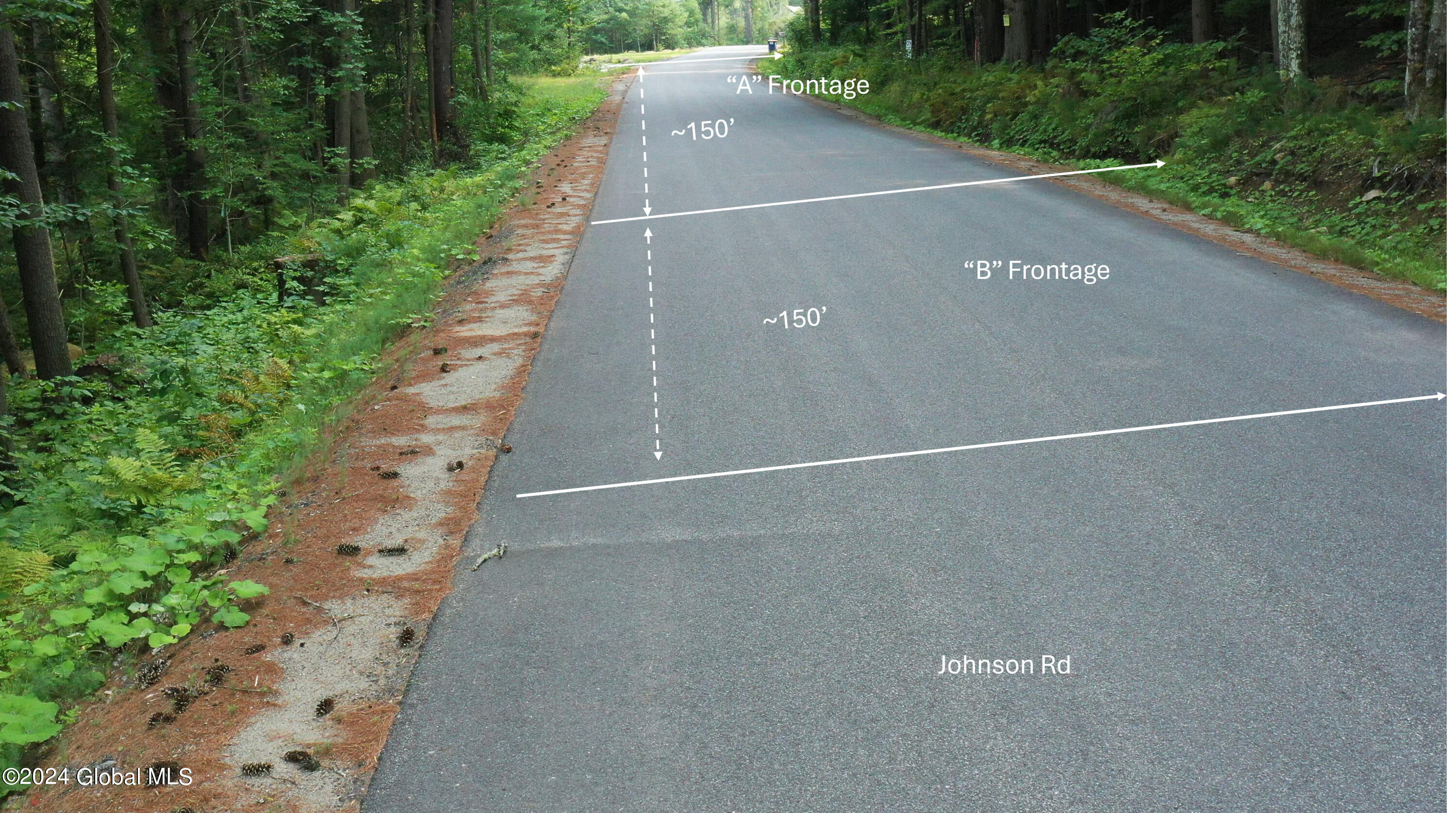 L122 Johnson Road Adirondack NY 12808
