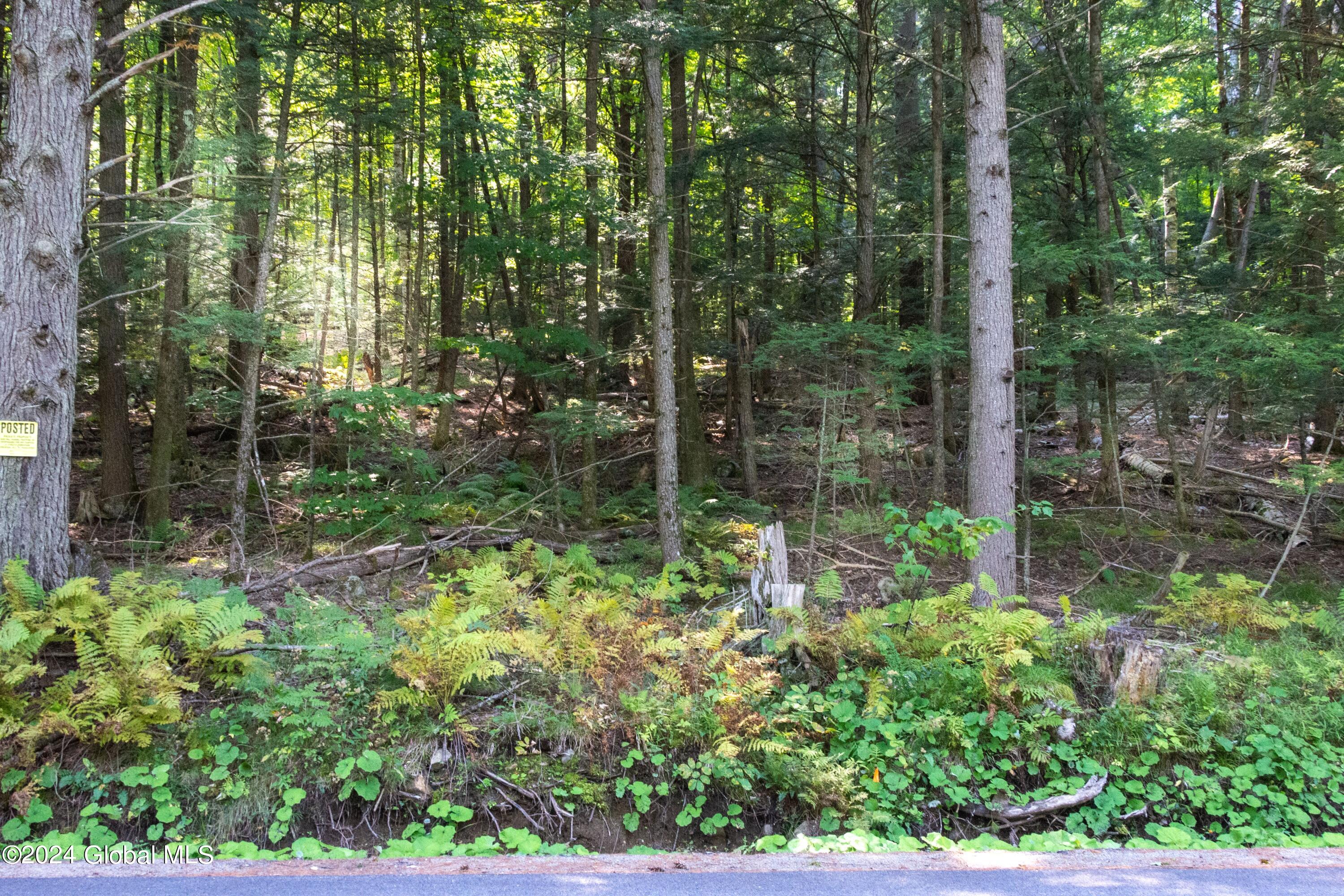L122 Johnson Road Adirondack NY 12808