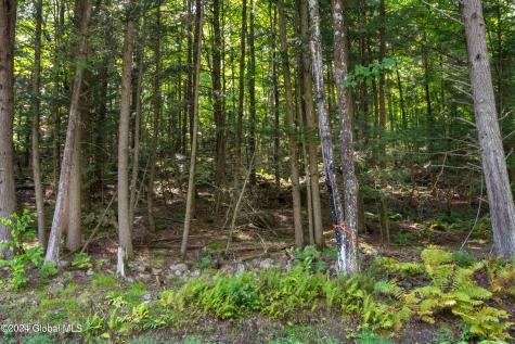 L122 Johnson Road Adirondack NY 12808