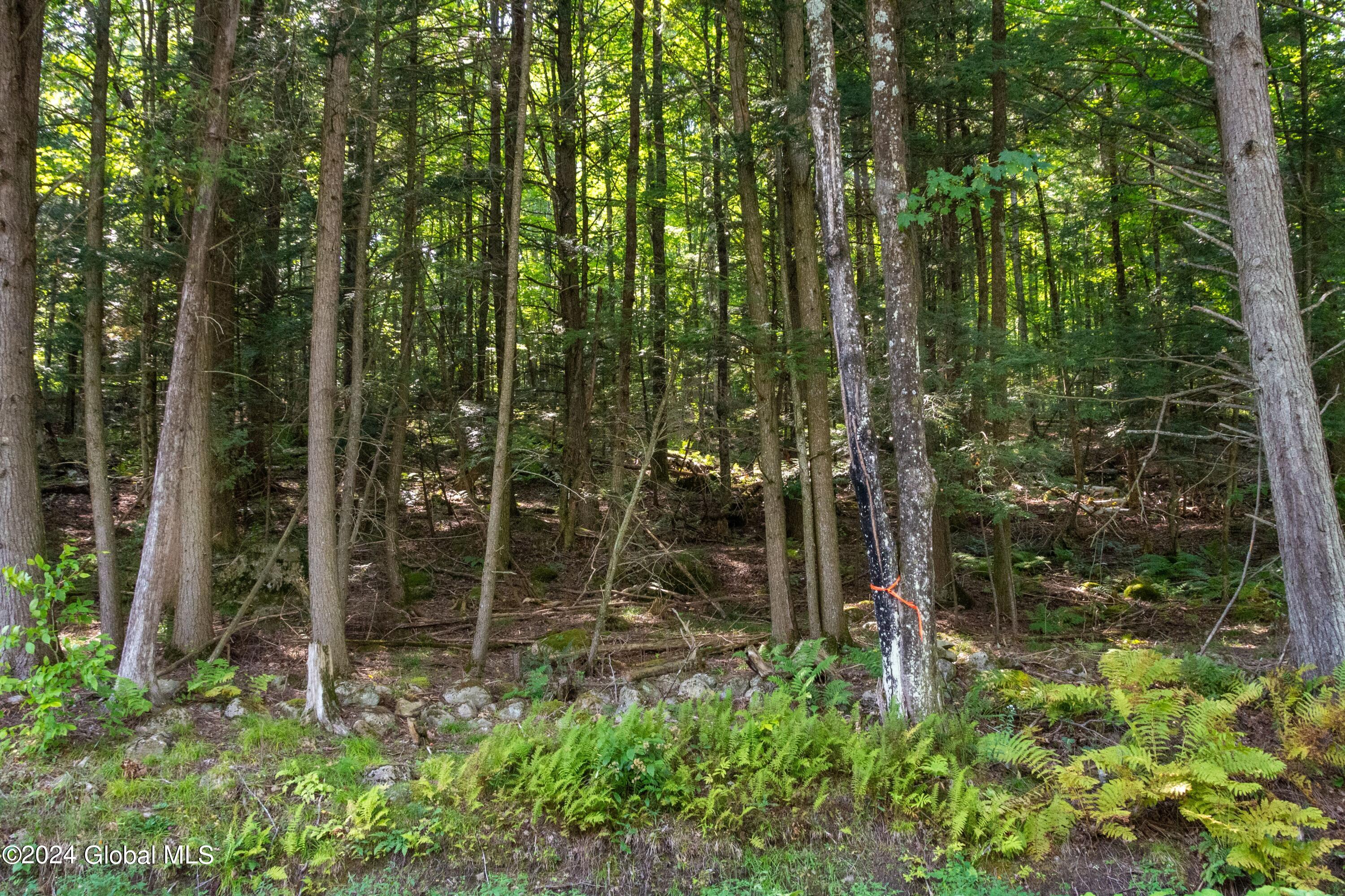 L122 Johnson Road Adirondack NY 12808