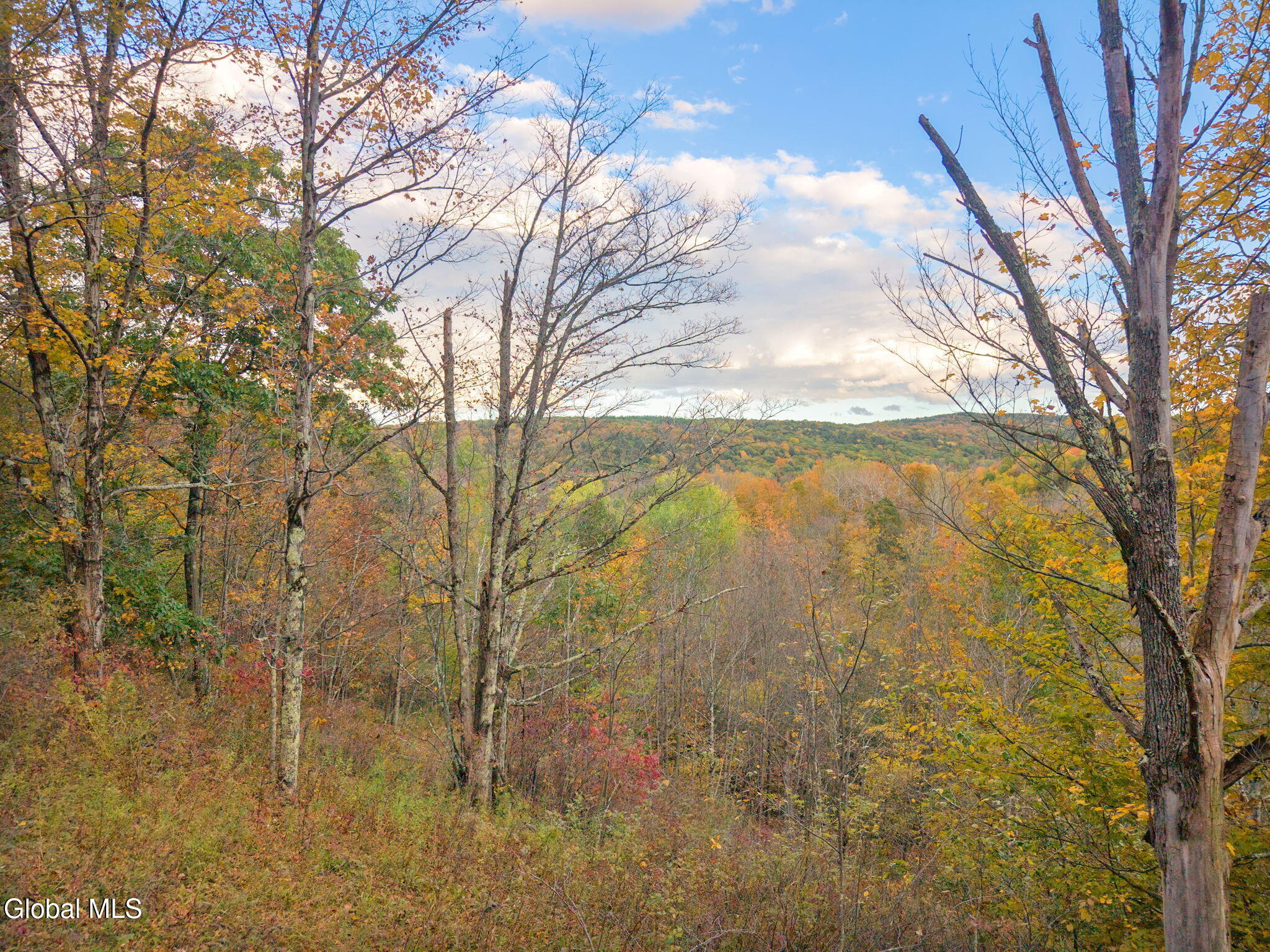 541 Decatur Road Seward NY 12043