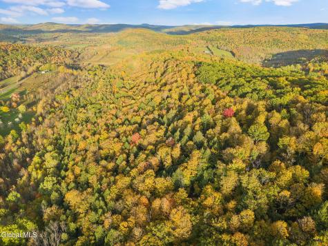 541 Decatur Road Seward NY 12043