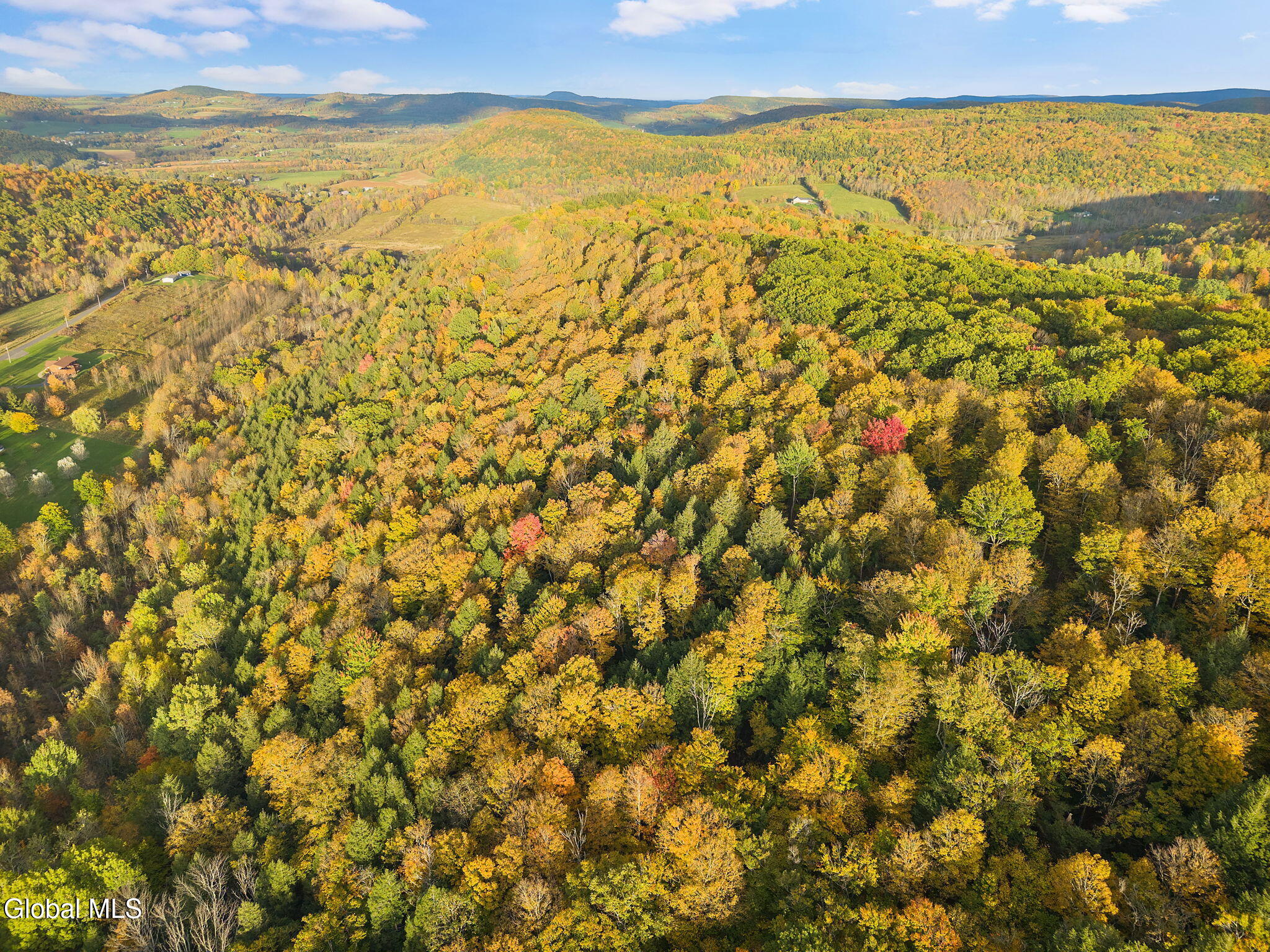 541 Decatur Road Seward NY 12043