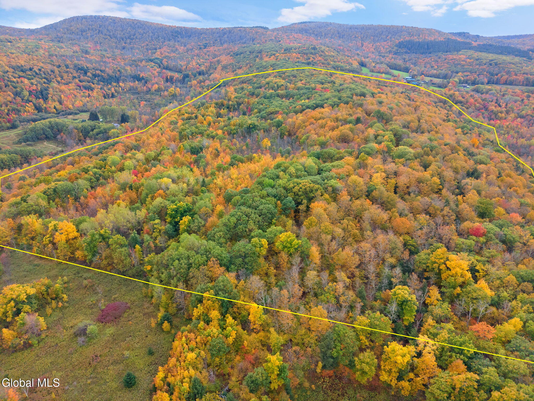 541 Decatur Road Seward NY 12043