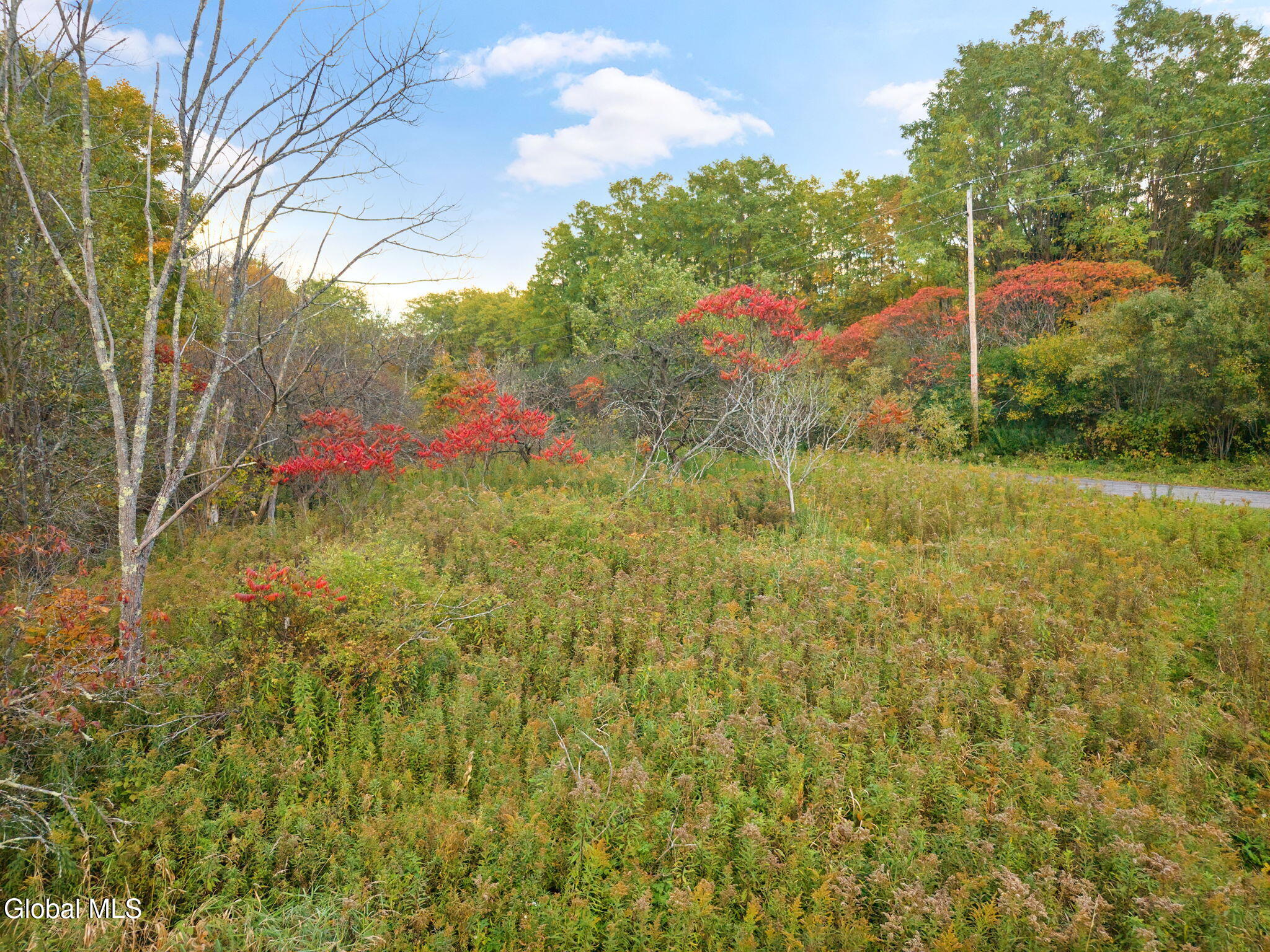 541 Decatur Road Seward NY 12043