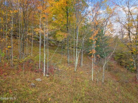 541 Decatur Road Seward NY 12043