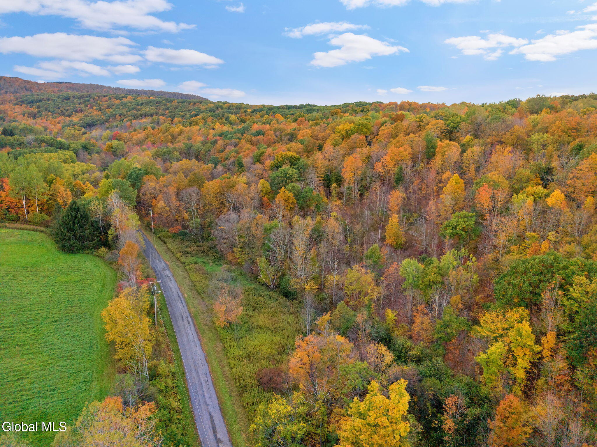 541 Decatur Road Seward NY 12043