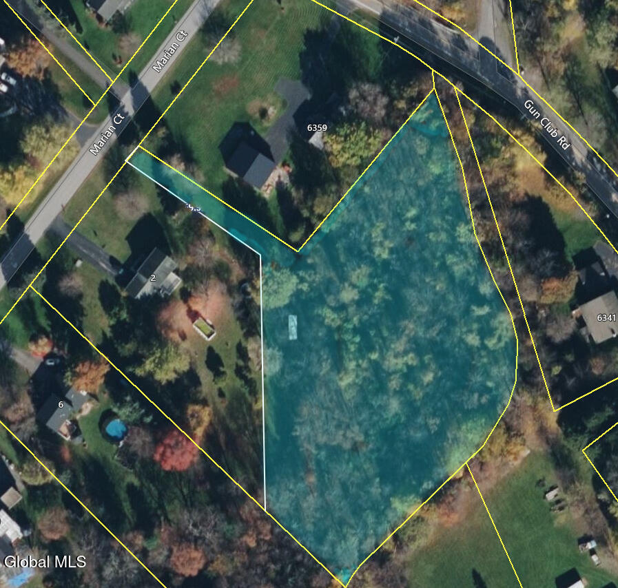 4 Marian Court Altamont NY 12009