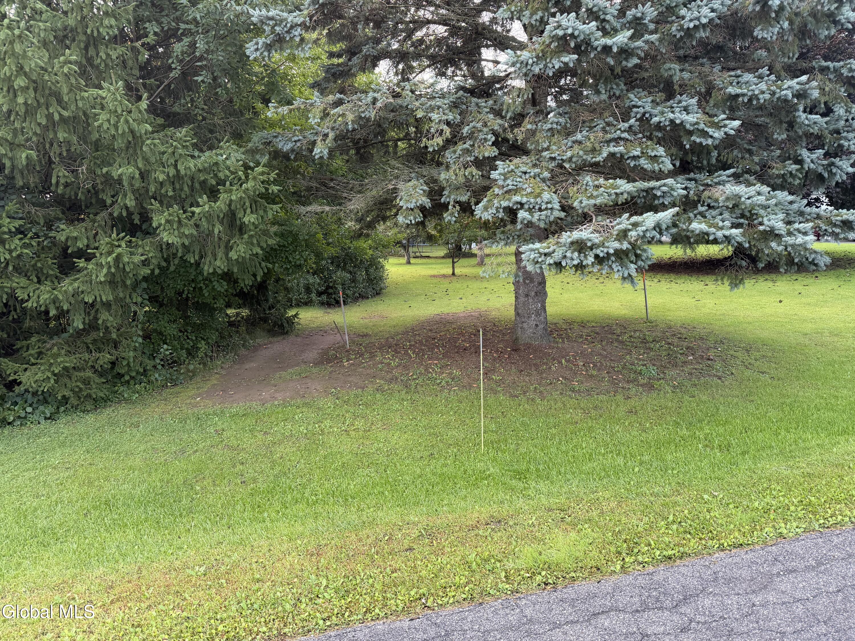 4 Marian Court Altamont NY 12009