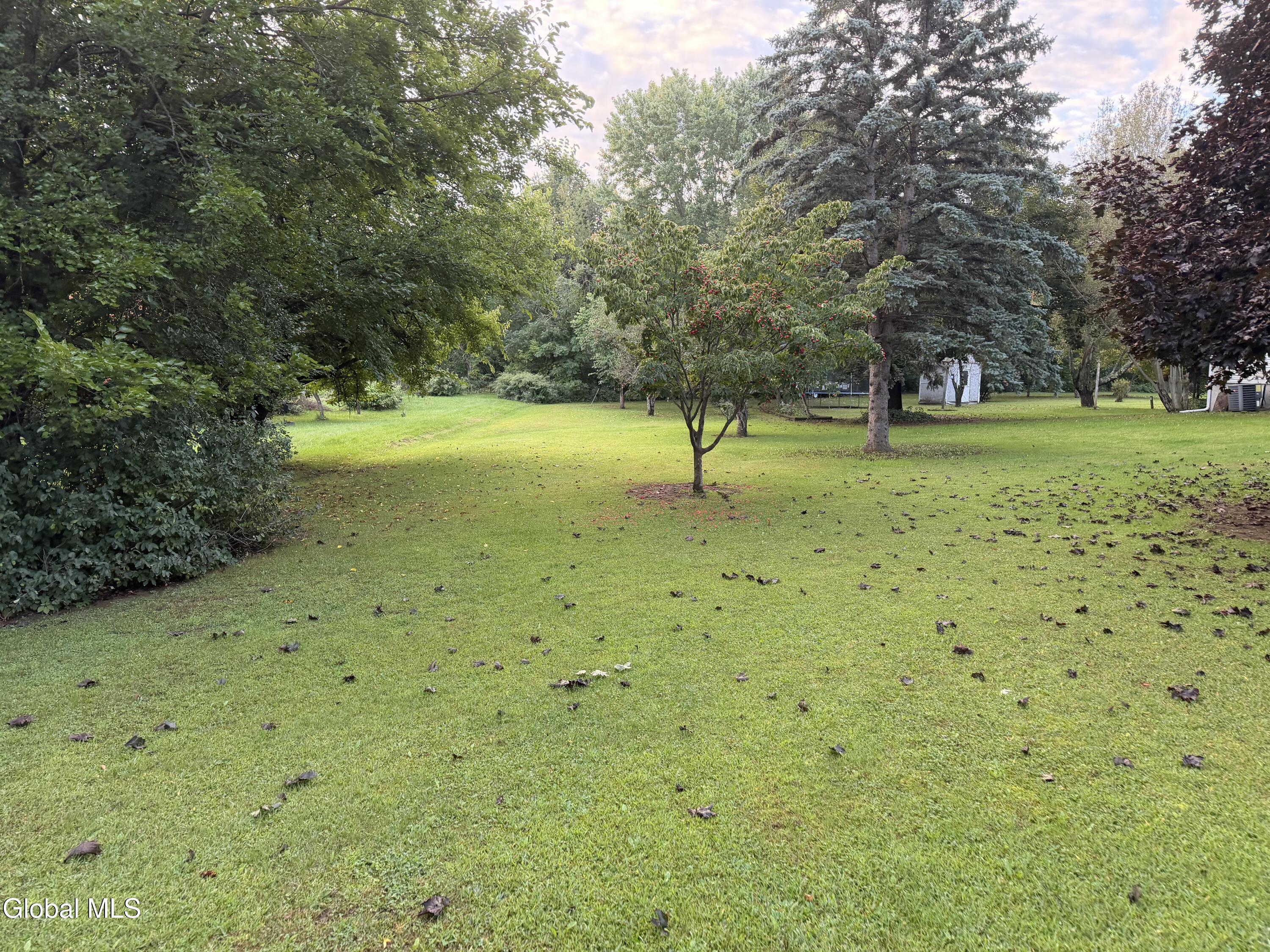 4 Marian Court Altamont NY 12009