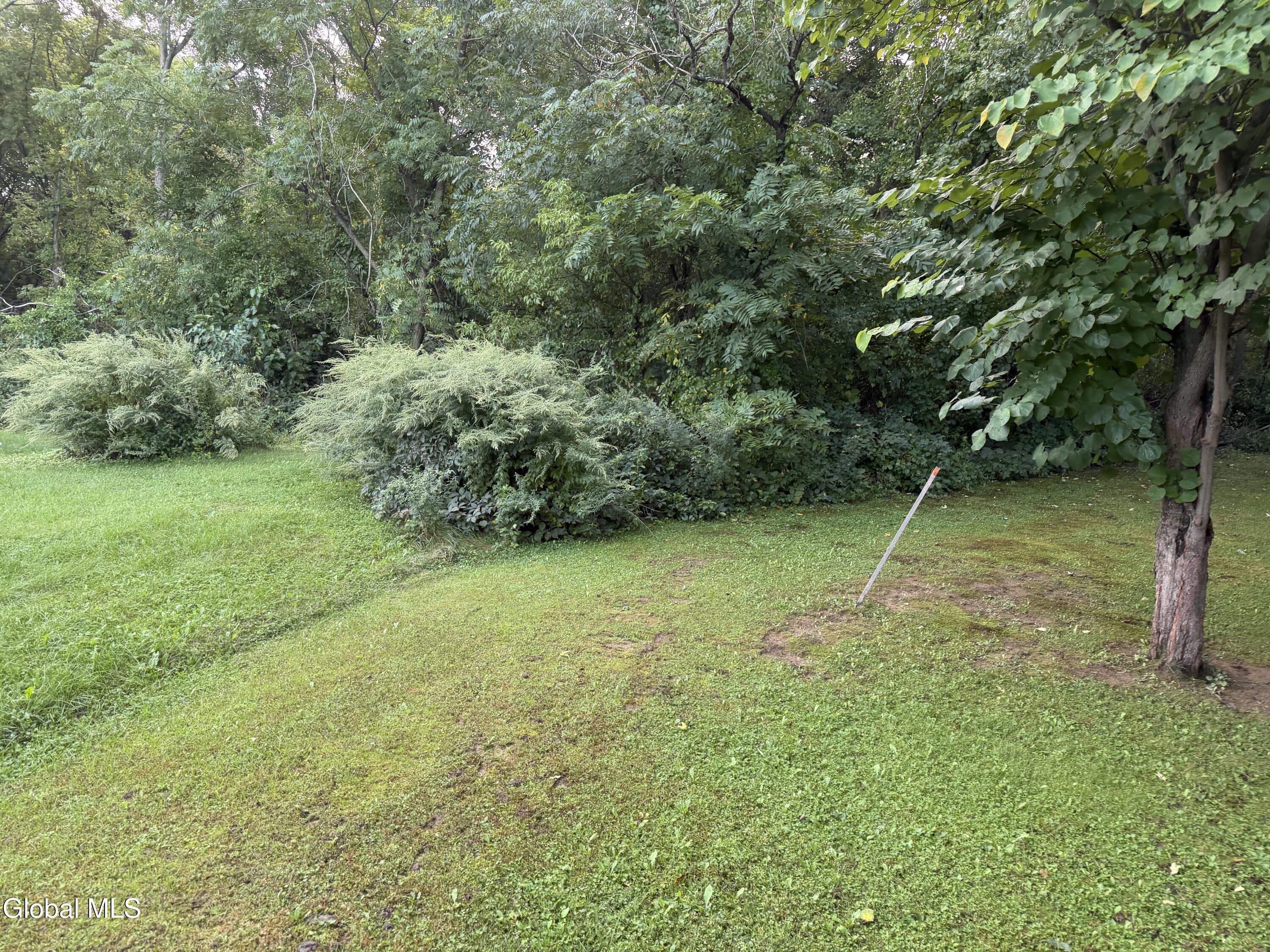 4 Marian Court Altamont NY 12009