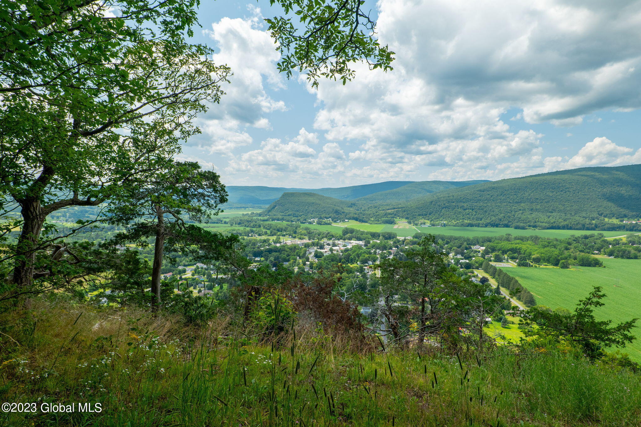 L16 Mount Path Middleburgh NY 12122