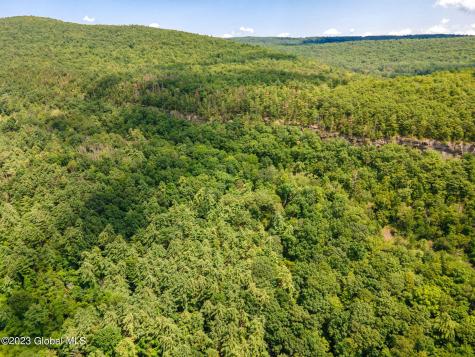L16 Mt Path Middleburgh NY 12122
