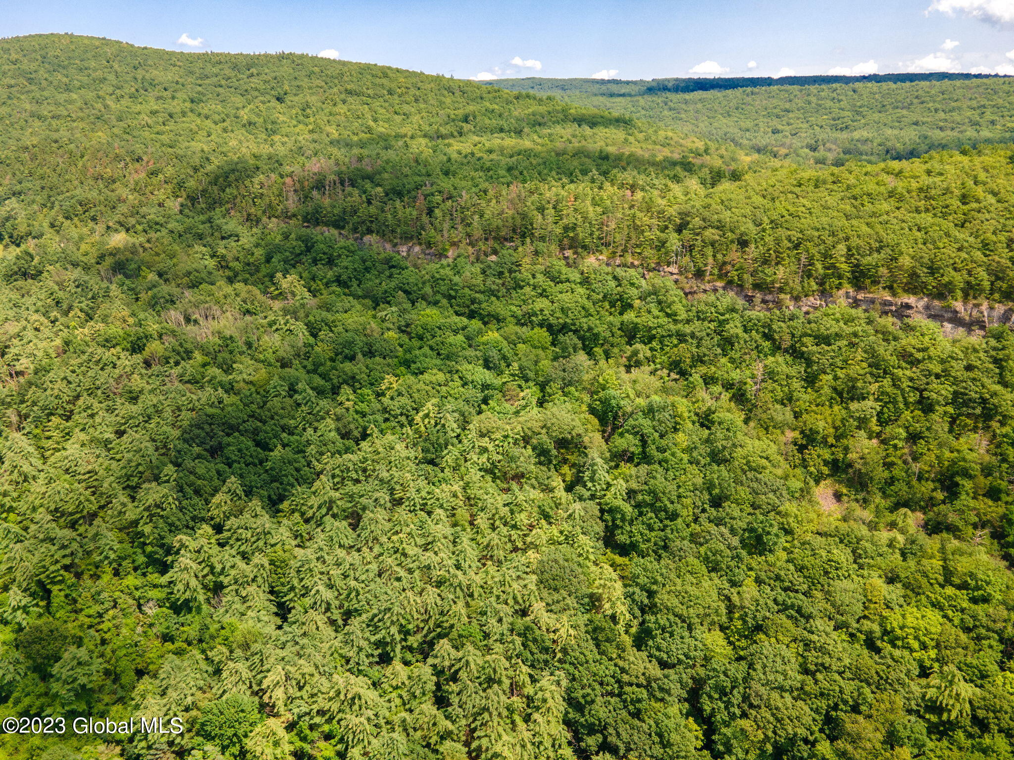 L16 Mount Path Middleburgh NY 12122