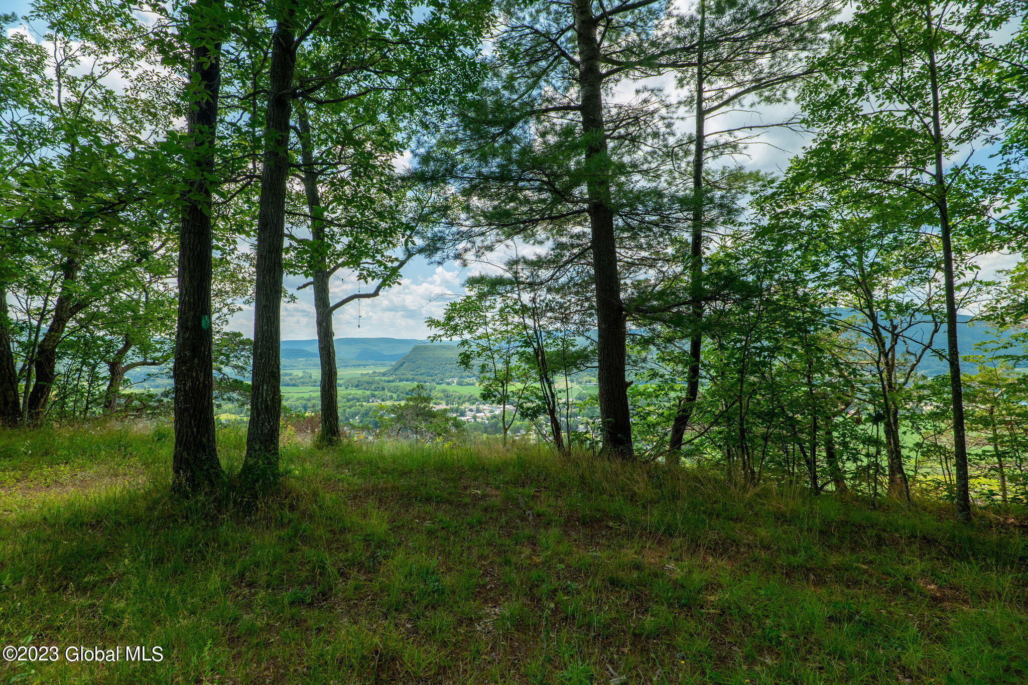 L16 Mount Path Middleburgh NY 12122