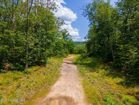 L16 Mt Path Middleburgh NY 12122