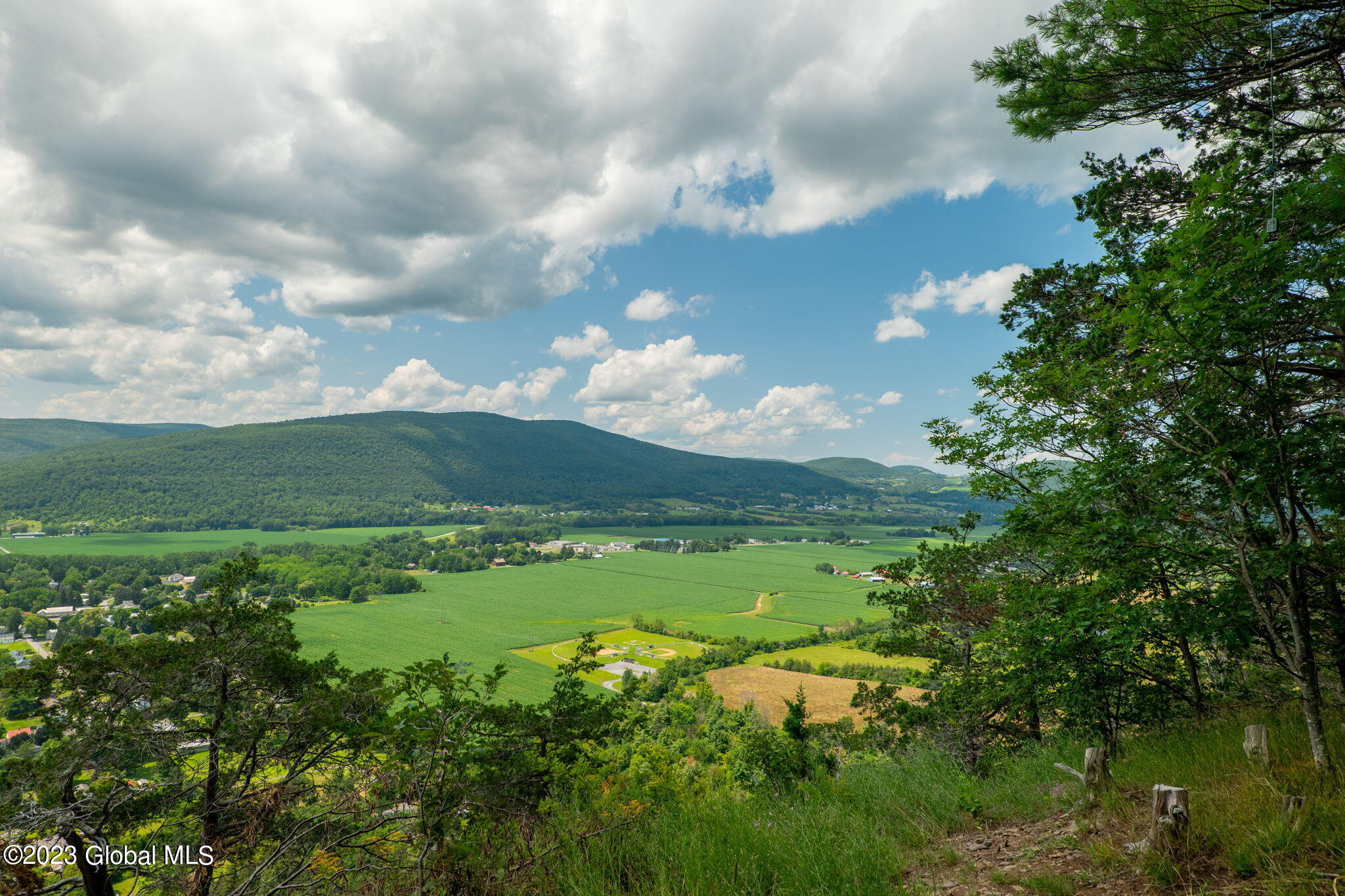 L16 Mount Path Middleburgh NY 12122