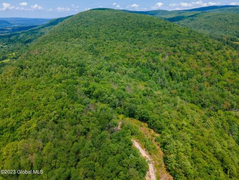 L16 Mt Path Middleburgh NY 12122