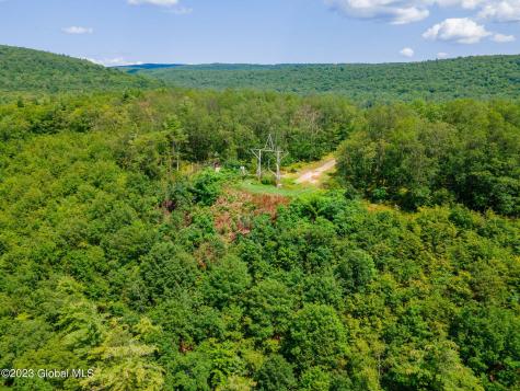 L16 Mt Path Middleburgh NY 12122