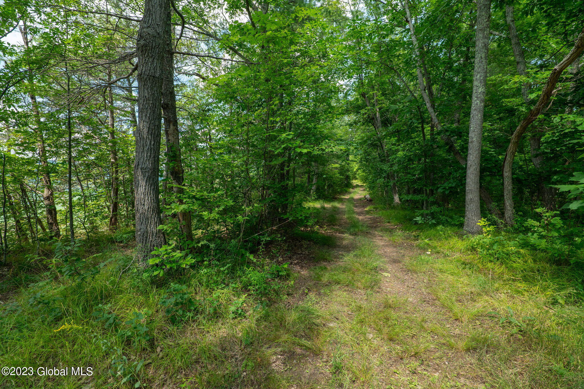 L16 Mount Path Middleburgh NY 12122