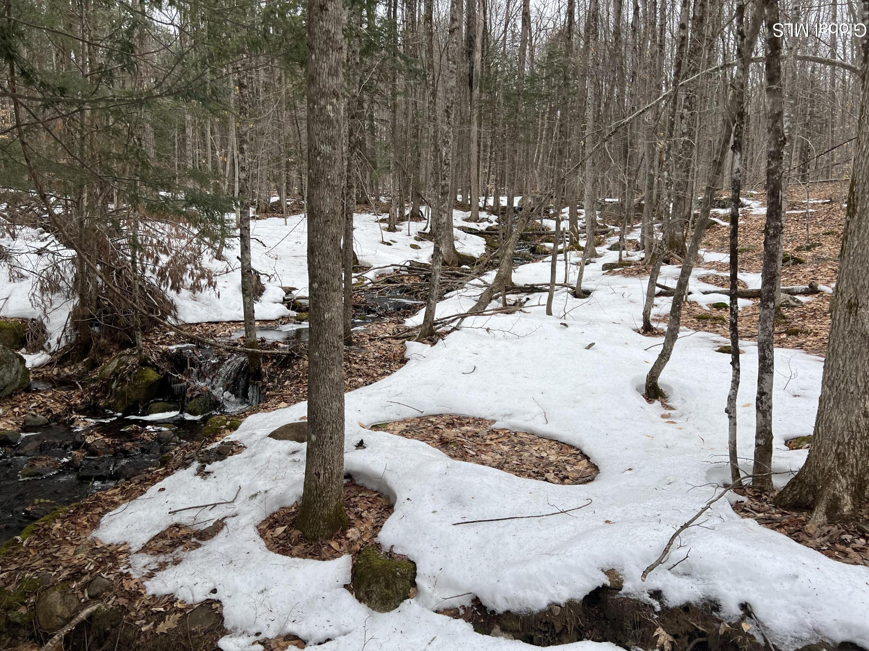 277 Roaring Branch Road Stony Creek NY 12878