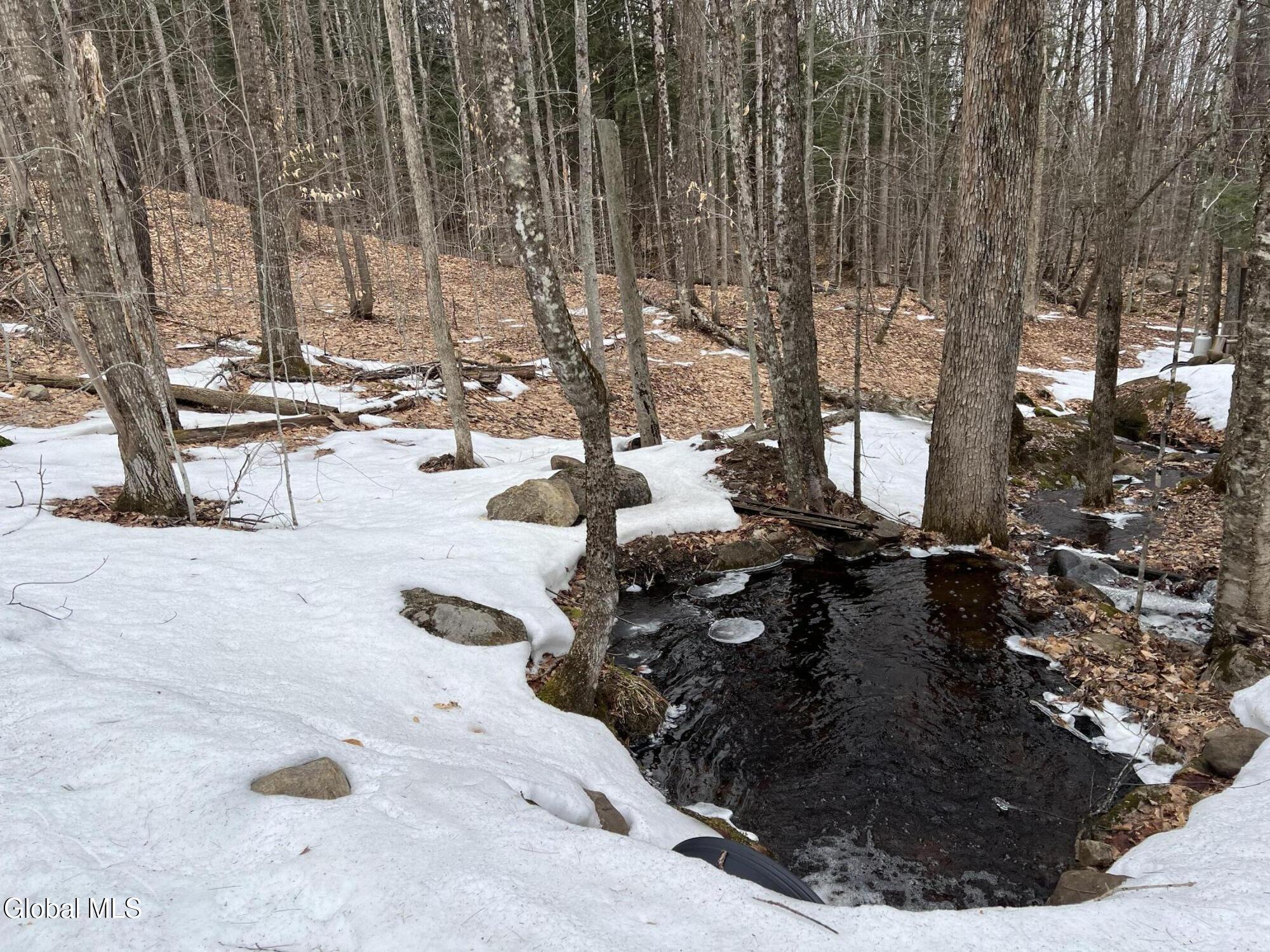 277 Roaring Branch Road Stony Creek NY 12878