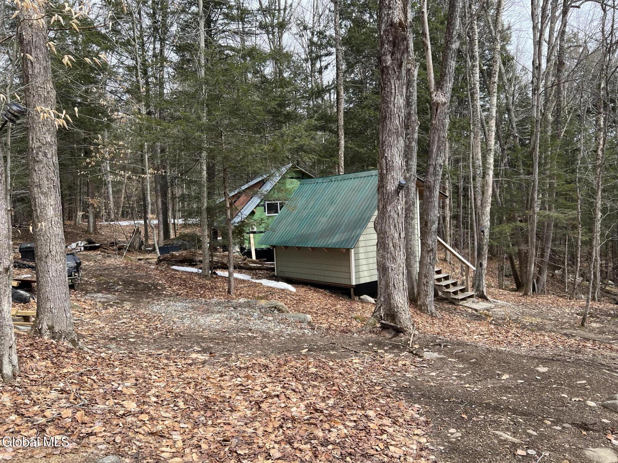 277 Roaring Branch Road Stony Creek NY 12878