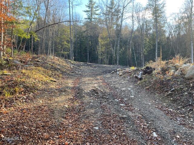 L24.1 Crane Pond Road Schroon Lake NY 12870