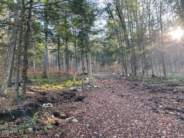 L24.1 Crane Pond Road Schroon Lake NY 12870