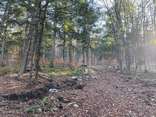 L24.1 Crane Pond Road Schroon Lake NY 12870