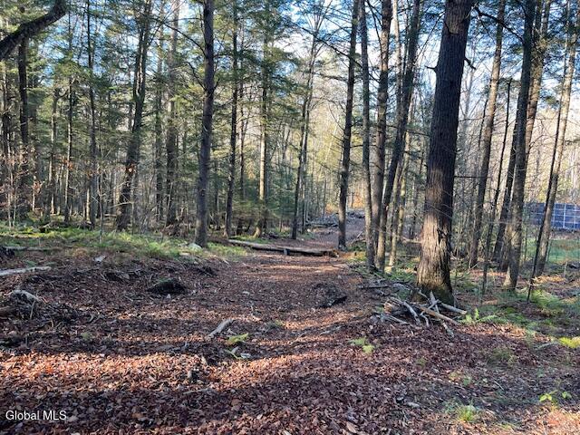 L24.1 Crane Pond Road Schroon Lake NY 12870