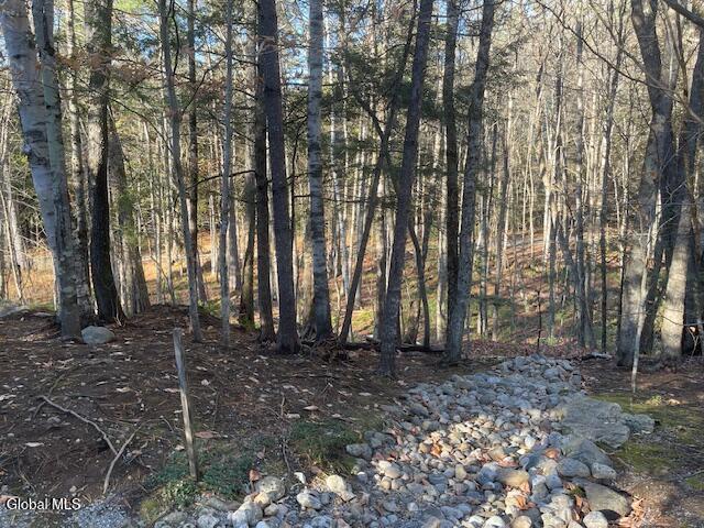 L24.1 Crane Pond Road Schroon Lake NY 12870