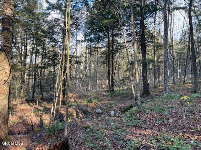 L24.1 Crane Pond Road Schroon Lake NY 12870