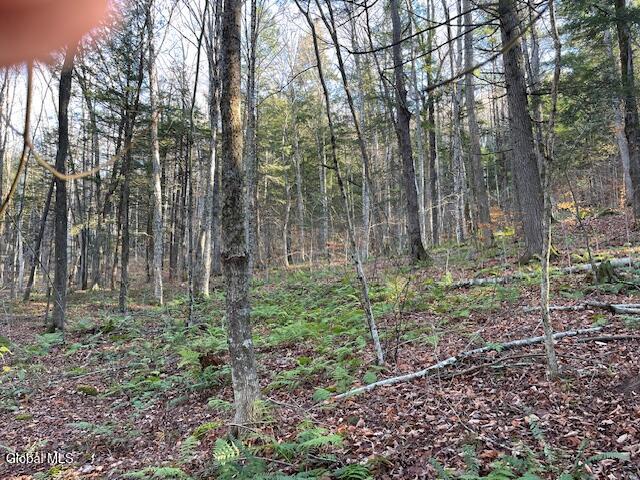 L24.1 Crane Pond Road Schroon Lake NY 12870