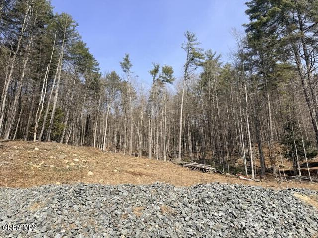 1397 N Shore Road Hadley NY 12835