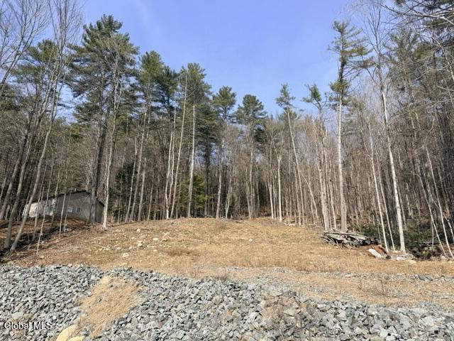 1397 N Shore Road Hadley NY 12835