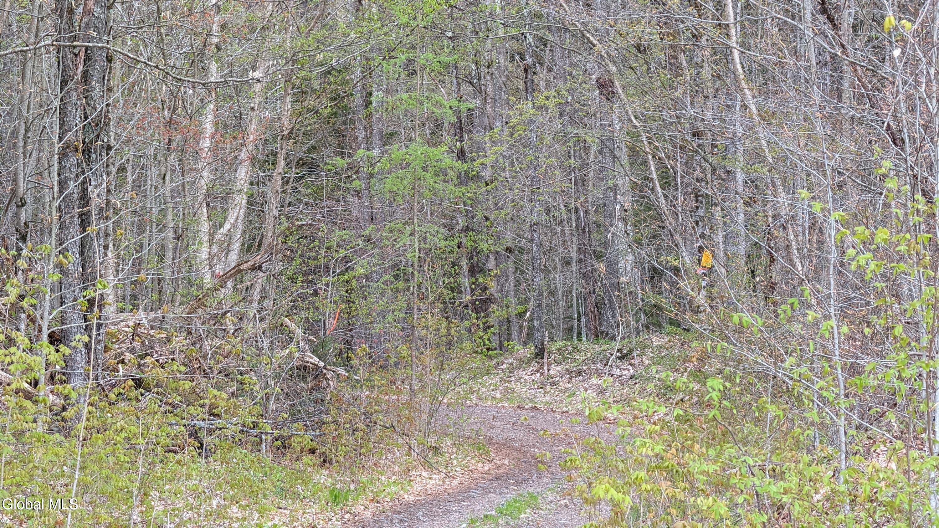 L1.12 County Highway 56 Colton NY 13625