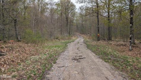 L1.12 County Highway 56 Colton NY 13625