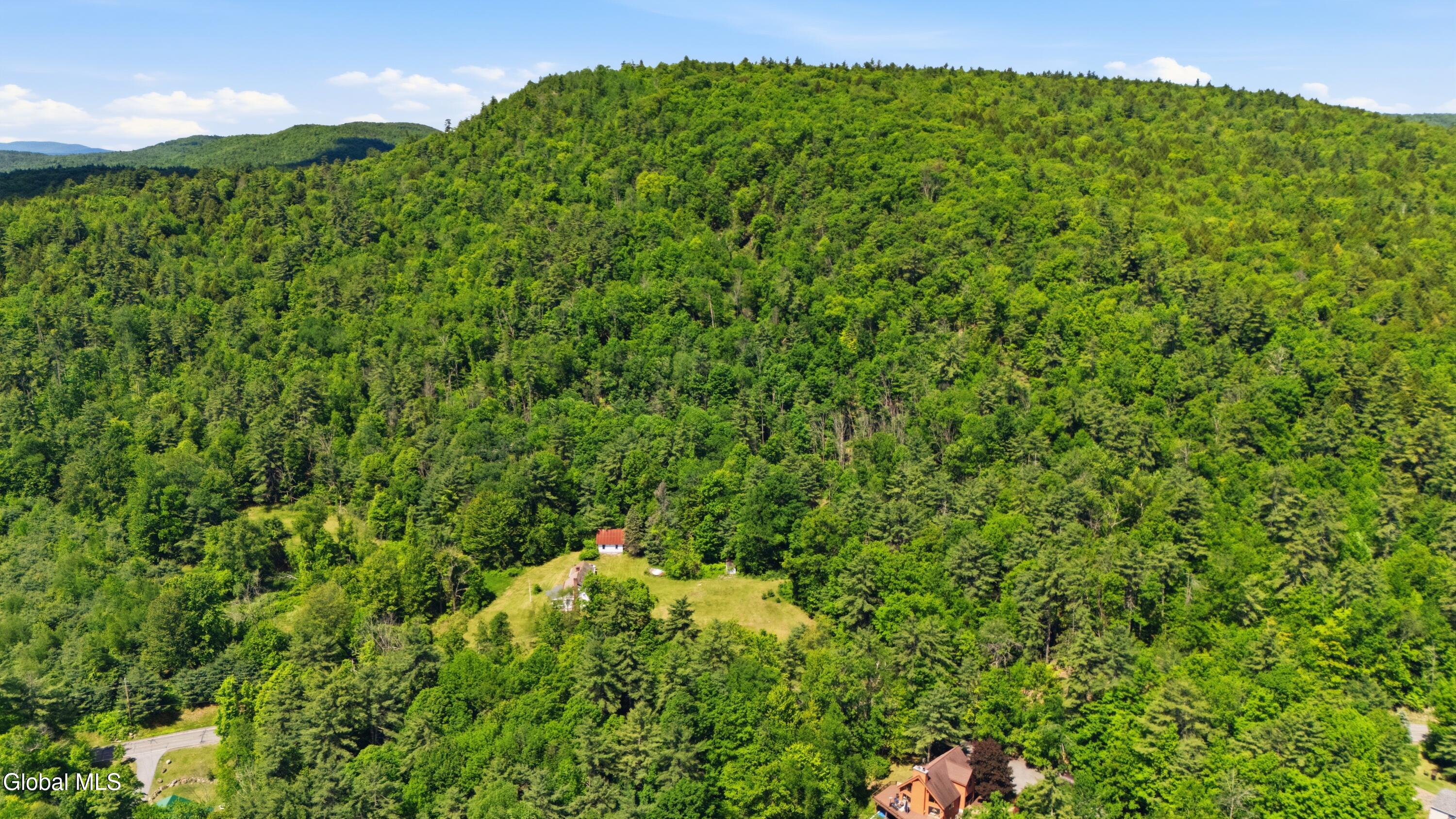 409 Potter Hill Road Bolton Landing NY 12814