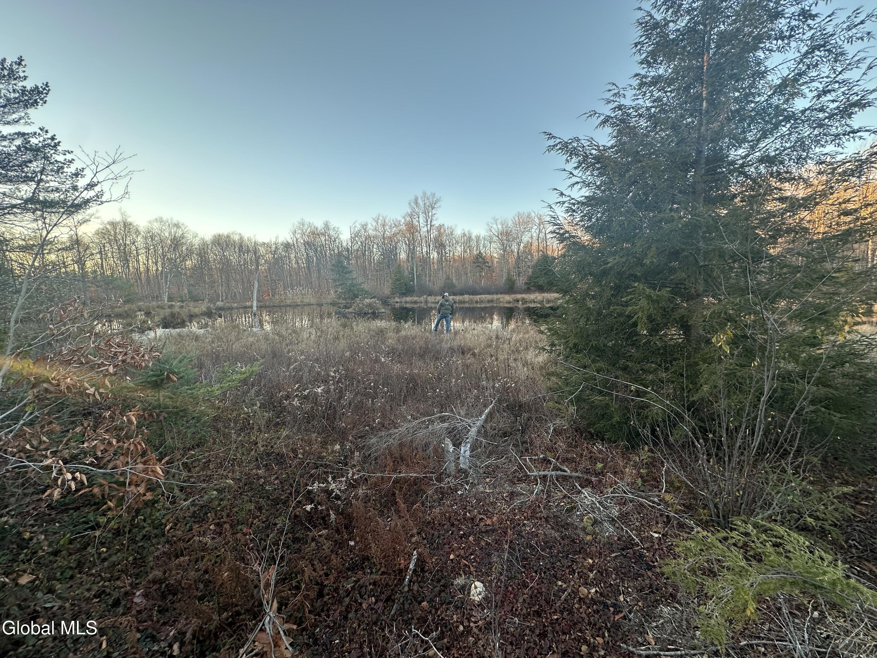 1006 County Highway 119 Ephratah NY 13452