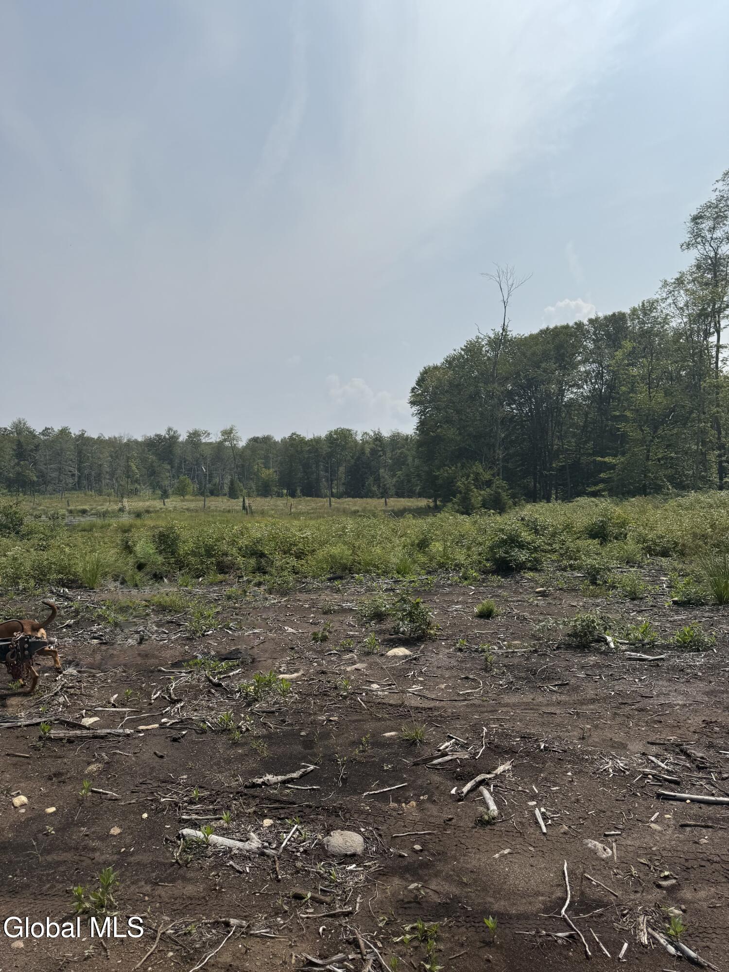 1006 County Highway 119 Ephratah NY 13452